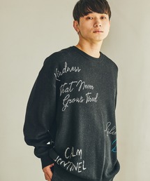 トビガラ刺繍ニットプルオーバー / 607000
