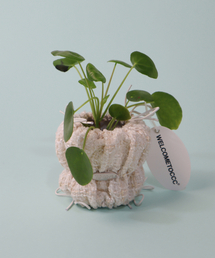 WELCOME TO CCC（ウェルカムトゥーシーシーシー）の「POUPOUPOT オートミール (PoPo S Size) 植木鉢（フラワーベース）」