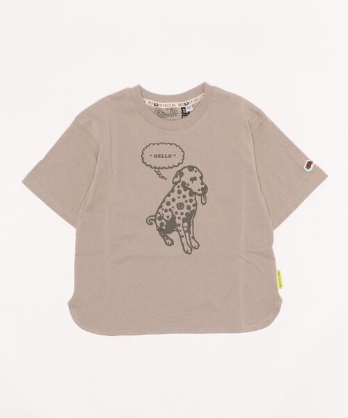 FRUIT OF THE LOOM(フルーツオブザルーム)の「BIASコラボ キッズTee(Tシャツ/カットソー・キッズ・ホワイト/チャコールグレー/ベージュ・90-100cm/110-120cm/130-140cm)」の15枚目の写真