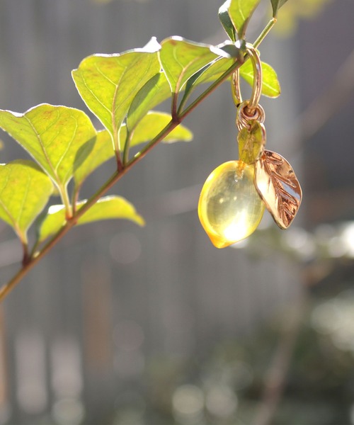 ACCOMMODE（アコモデ）の「クリアフルーツイヤリング（イヤリング・レディース・パープル/レッド/イエロー・FREE）」の8枚目の写真