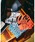 CALEEiL[j́u×HIGH FIVE CAL RETRO GIRL BANDANNAio_i/XJ[tjvbu[