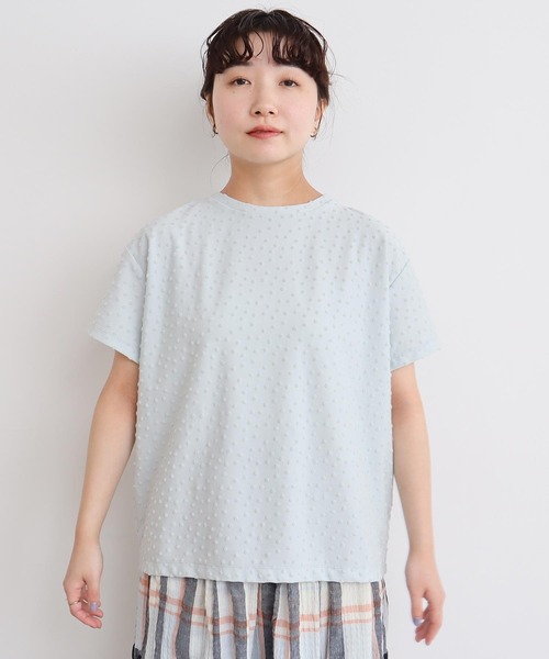 tシャツ 小ドットパイル　フレンチTシャツ レディース 小ドットパイル フレンチTシャツ（Tシャツ/カットソー）｜l