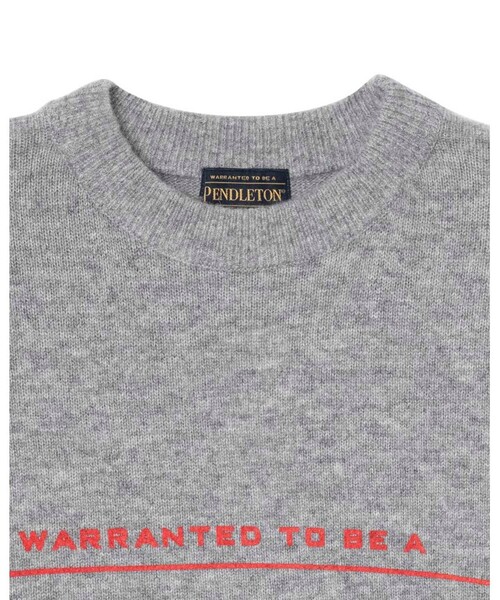 PENDLETON(ペンドルトン)の「【PENDLETON/ペンドルトン】 ロゴプリントクルーネックニット(7GG)(ニット/セーター・メンズ・イエロー/ブラック/ブルー/グレー・M/L)」の5枚目の写真