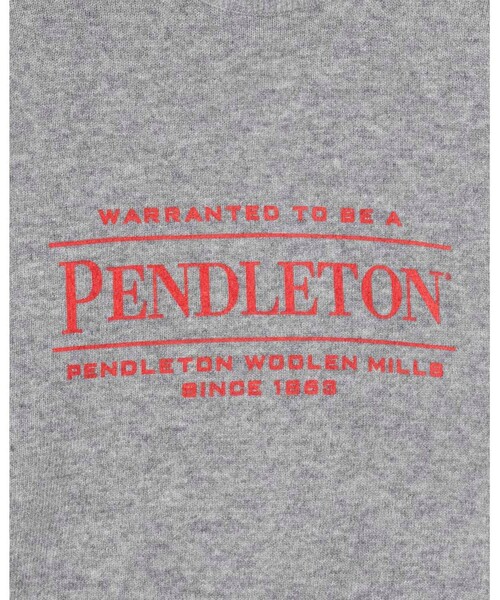 PENDLETON(ペンドルトン)の「【PENDLETON/ペンドルトン】 ロゴプリントクルーネックニット(7GG)(ニット/セーター・メンズ・イエロー/ブラック/ブルー/グレー・M/L)」の6枚目の写真