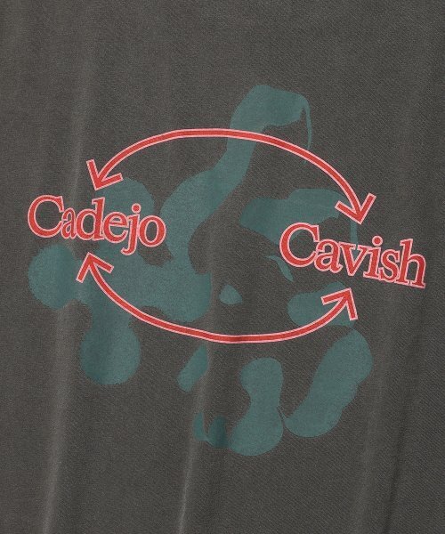 Cavish(カビシ)の「CADEJO PIGMENT DYED SS TEE CHARCOAL(CV2DMUT523B)(Tシャツ/カットソー・レディース・チャコール・LARGE/X-LARGE)」の5枚目の写真