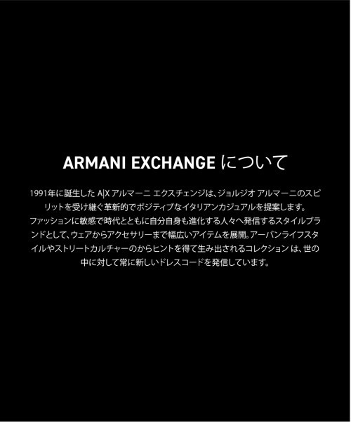 ARMANI EXCHANGE(アルマーニエクスチェンジ)の「アルマーニ・エクスチェンジ 腕時計 メンズ アナログ ステンレス AX7181SET(アナログ腕時計・メンズ・マルチ・FREE)」の13枚目の写真