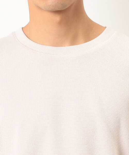 Purple&Yellow(パープルアンドイエロー)の「裏起毛 ワッフル クルーネックTシャツ(Tシャツ/カットソー・メンズ・カーキ/アイボリー/ブラック/ミント・LARGE/SMALL/MEDIUM)」の18枚目の写真