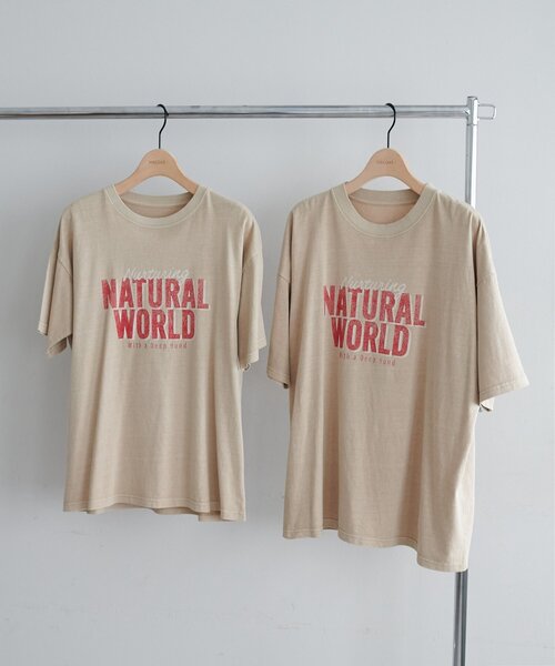 DISCOAT(ディスコート)の「【WEB限定】ピグメントアソートロゴTシャツ(Tシャツ/カットソー・レディース・チャコールグレー/グリーン/ベージュ・MEDIUM/SMALL)」の8枚目の写真