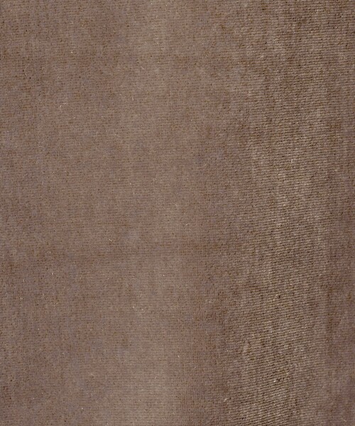 BEAUTY&YOUTH UNITED ARROWS（ビューティーアンドユースユナイテッドアローズ）の「ポリエステルブレンド ベロアロングスリーブ Tシャツ（Tシャツ/カットソー・レディース・モカ/オフホワイト/ブラック・FREE）」の6枚目の写真