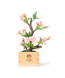 BEAMS JAPAN（ビームス　ジャパン）の「【別注】岡半 / 盆栽枡 桜 小（インテリア雑貨）」