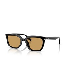 【新着】Ray-Ban レイバン サングラス/ RB4439D 901/73 54-21/紫外線対策（Low Bridge fit/ローブリッジフィット）