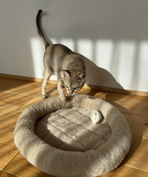 LAKOLE（ラコレ）の「クロスキルトラウンドペットベッド/605907（ペット用クッション/マット）」