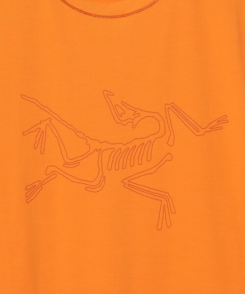 BEAMS（ビームス）の「ARC’TERYX / CORMAC LOGO SS（Tシャツ/カットソー・メンズ・ブラック・LARGE/SMALL/MEDIUM）」の12枚目の写真