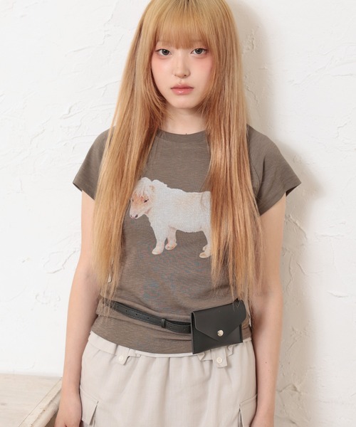 LiLIN(リリン)の「クルーネック アニマル プリント 半袖 Tシャツ トップス(Tシャツ/カットソー・レディース・ブラウン/ホワイト/グレイッシュベージュ・FREE)」の8枚目の写真