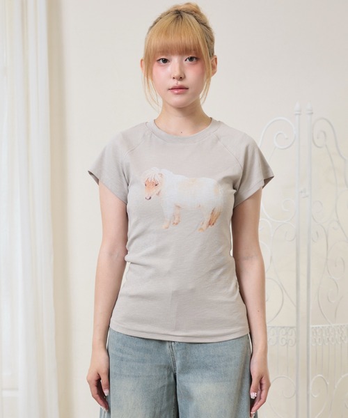 LiLIN(リリン)の「クルーネック アニマル プリント 半袖 Tシャツ トップス(Tシャツ/カットソー・レディース・ブラウン/ホワイト/グレイッシュベージュ・FREE)」の14枚目の写真