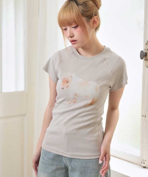 LiLIN(リリン)の「クルーネック アニマル プリント 半袖 Tシャツ トップス(Tシャツ/カットソー・レディース・ブラウン/ホワイト/グレイッシュベージュ・FREE)」の15枚目の写真