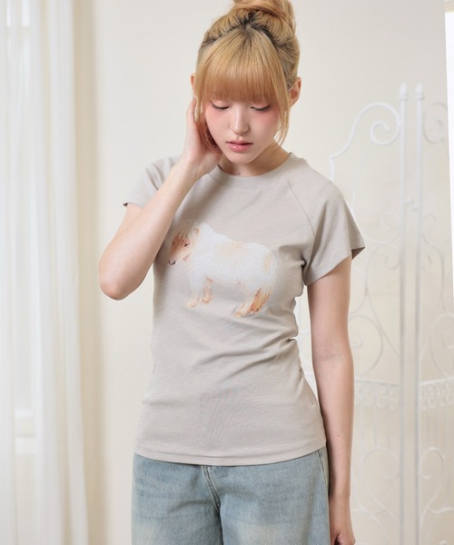 LiLIN(リリン)の「クルーネック アニマル プリント 半袖 Tシャツ トップス(Tシャツ/カットソー・レディース・ブラウン/ホワイト/グレイッシュベージュ・FREE)」の13枚目の写真