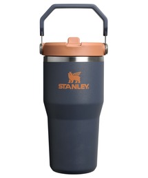 BRID（ブリッド）の「STANLEY ｱｲｽﾌﾛｰﾌﾘｯﾌﾟｽﾄﾛｰ真空ﾀﾝﾌﾞﾗｰ 0.59L（グラス/マグカップ/タンブラー）」