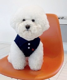 Ritomo De Ricco（リトモ・デ・リコ）の「わんちゃん達のトラッドポロシャツ（ペットウェア）」