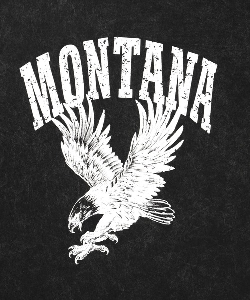 Figments（フィグメンツ）の「ピグメントノースリイーグルビッグＴ（タンクトップ・レディース・スミクロ/グレー・FREE）」の17枚目の写真