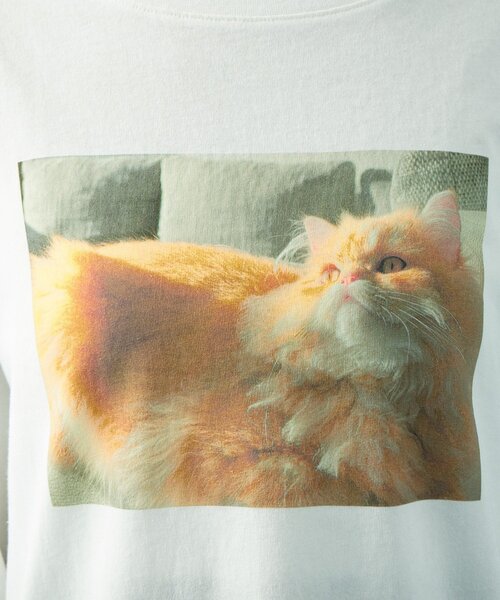 mystic（ミスティック）の「CATフォトロンT（Tシャツ/カットソー・レディース・アイボリー/オフホワイト・FREE）」の21枚目の写真