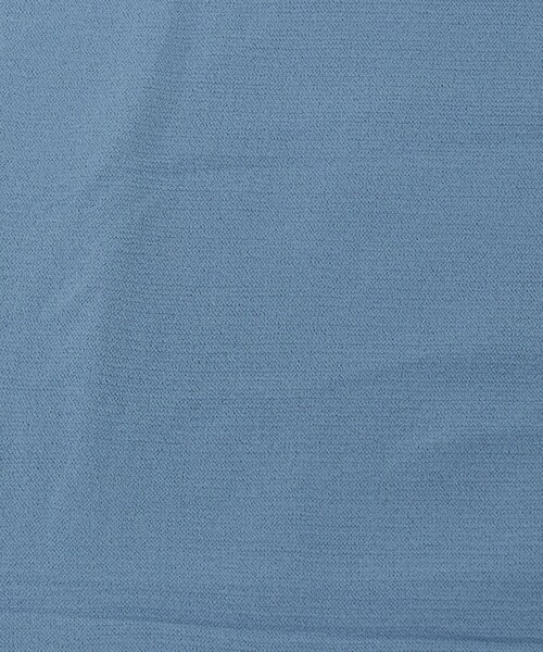 SWEDISH STOCKING(スウェディッシュストッキングス)の「<SWEDISH STOCKINGS>SVEA タイツ 30デニール< Select by EMMEL REFINES >(タイツ/ストッキング・レディース・ブラック/ライトブルー・S)」の9枚目の写真