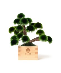 BEAMS JAPAN（ビームス　ジャパン）の「【別注】岡半 / 盆栽枡 松 小（インテリア雑貨）」