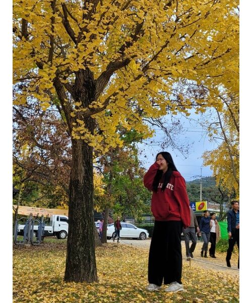 WOOALONG（ウアロン）の「Signature relax wide pants - BLACK（スウェットパンツ・レディース・ブラック・LARGE/MEDIUM/SMALL）」の13枚目の写真