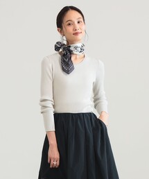 Demi-Luxe BEAMS | 14ゲージ ベーシック リブニット(ニット/セーター)
