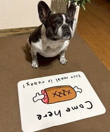 LAKOLE（ラコレ）の「フードマット / 638805（その他ペットグッズ）」