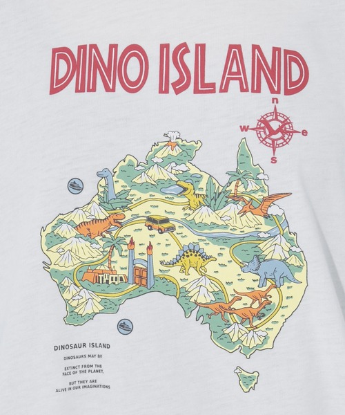 kutir(クティール)の「アソートプリントTシャツ(Tシャツ/カットソー・レディース・チャコールグレー/オフホワイト/イエロー/オレンジ/グリーン/ダークグレー/オートミール・FREE)」の13枚目の写真