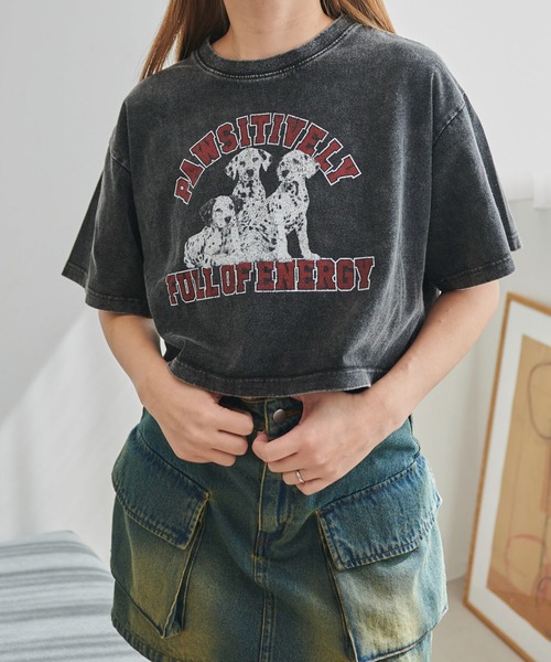 WEGO（ウィゴー）の「WEGO/ヴィンテージウォッシュグラフィックショートT（Tシャツ/カットソー・レディース・その他8/その他7/その他6/その他5/その他4/その他3/その他2/その他1・FREE）」の18枚目の写真