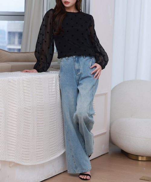 DAY CLOSET(デイ クローゼット)の「レディース 長袖シースルードットバルーンブラウス(シャツ/ブラウス・レディース・ブラック・FREE)」の6枚目の写真