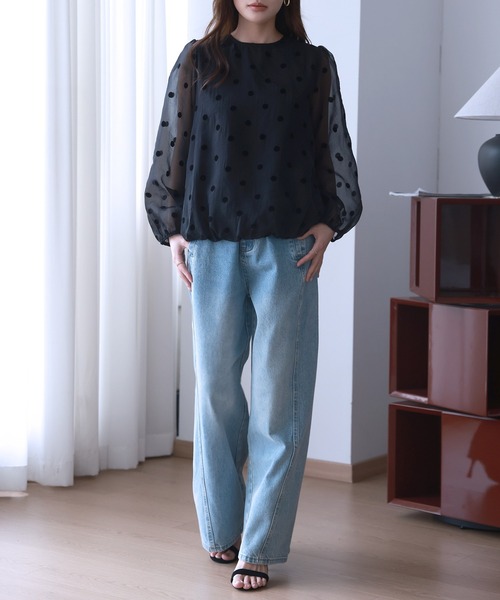 DAY CLOSET(デイ クローゼット)の「レディース 長袖シースルードットバルーンブラウス(シャツ/ブラウス・レディース・ブラック・FREE)」の9枚目の写真