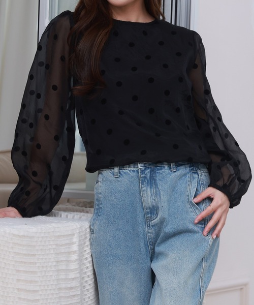 DAY CLOSET(デイ クローゼット)の「レディース 長袖シースルードットバルーンブラウス(シャツ/ブラウス・レディース・ブラック・FREE)」の8枚目の写真