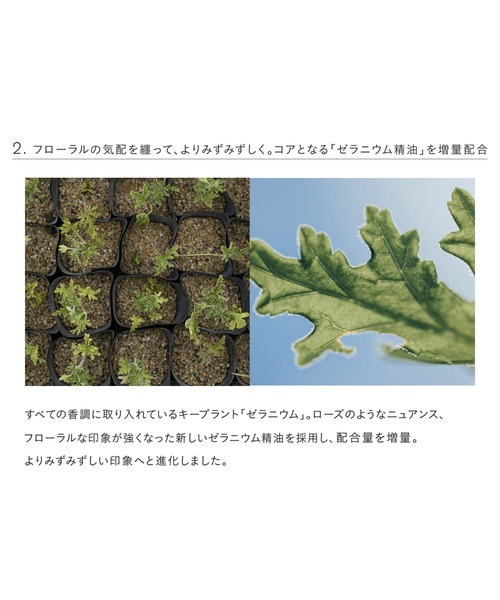 THREE エッセンシャルセンツ R（10mL）02 DAYS IN THE TREES（香水