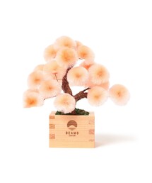BEAMS（ビームス）の「【別注】岡半 / 盆栽枡 橙松 小（インテリア雑貨）」