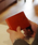 TAKEO KIKUCHI�i�^�P�I�L�N�`�j�́u�yTAKEO KIKUCHI /�^�P�I�L�N�`�z�A���h ��܂���z�i���z�j�v�b�I�����W