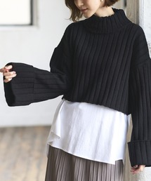 GeeRA | ハイネックワイドリブショート丈ニット(ニット/セーター)