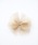Rorai[j́uy{zVe 炫 { wAS (3color)iwASjvbx[W
