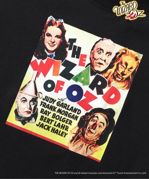 F.O.KIDS（エフオーキッズ）の「【親子・兄妹お揃い可能】Warner Bros. ムービーコレクション コラボTシャツ（Tシャツ/カットソー・キッズ・その他11/オフホワイト/グレー/ブラック・90/100/110/120/80/130/95/140/150）」の19枚目の写真