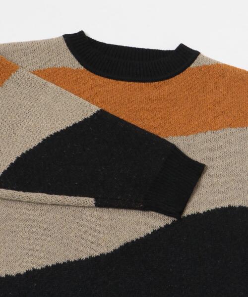 ITEMS URBANRESEARCH（アイテムズ アーバンリサーチ）の「総柄クルーネックニットプルオーバー（ニット/セーター・レディース・ブラック/ブルー/ブラウン・FREE）」の22枚目の写真