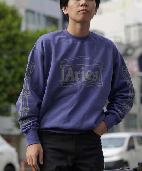 ARIES(アリーズ)の「【ARIES / アリーズ】REFLECTIVE COLUMN SWEATSHIRT(スウェット・メンズ・ネイビー・LARGE/MEDIUM/SMALL)」の21枚目の写真