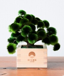 BEAMS JAPAN（ビームス　ジャパン）の「【別注】岡半 / 盆栽枡 松 大（インテリア雑貨）」
