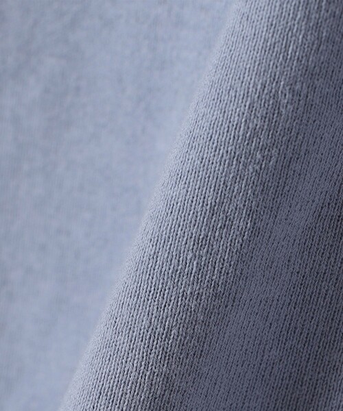 SHIPS any(シップス エニィ)の「SHIPS any:〈洗濯機可能〉レース カラー フレンチスリーブ ポロ プルオーバー(Tシャツ/カットソー・レディース・ブルー/ネイビー/オフホワイト・ONE SIZE)」の21枚目の写真
