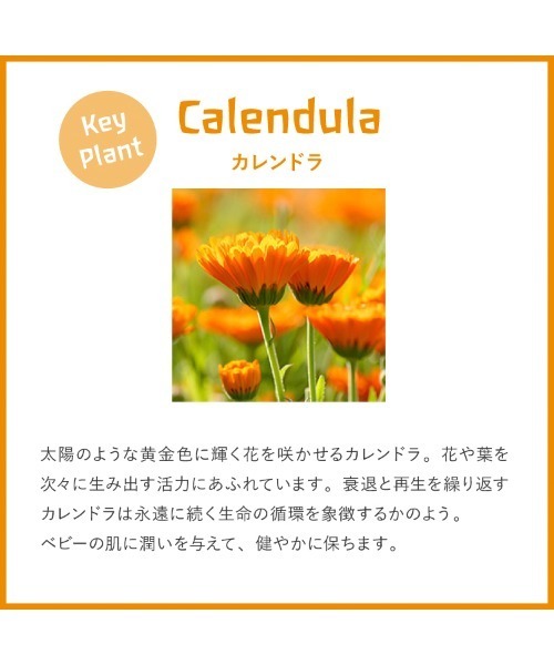 WELEDA（ヴェレダ）の「ヴェレダ カレンドラ ベビーバスミルク（入浴剤・バスケア・キッズ・その他・FREE）」の2枚目の写真