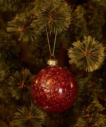 niko and...(jRAh)́y2024XmaszbhXpR[I[ig(CeAG)