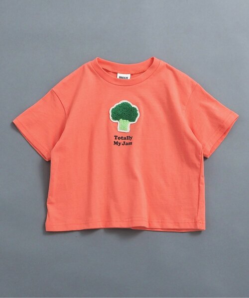 BREEZE(ブリーズ)の「【WEB限定】ワンポイントサガラワッペン半袖Tシャツ(Tシャツ/カットソー・キッズ・ブラック/ブラウン/グリーン/ライム/ミント/オレンジ・90/100/110/120/130/140/150)」の6枚目の写真