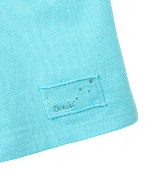 DANDEL（ダンデル）の「DD asym side rib tee (MINT BLUE)（Tシャツ/カットソー・レディース・その他・1/2）」の5枚目の写真