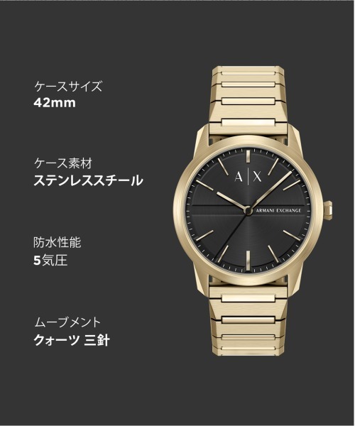 ARMANI EXCHANGE(アルマーニエクスチェンジ)の「アルマーニ・エクスチェンジ 腕時計 メンズ アナログ ステンレス AX2650(アナログ腕時計・メンズ・ゴールド・FREE)」の10枚目の写真